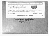 Phragmidium fragariae image